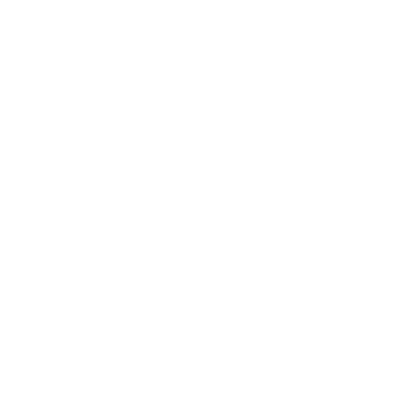 logo_tanzfestival_invertiert